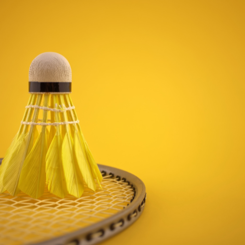 BC Villers-Wanze ASBL – Badminton